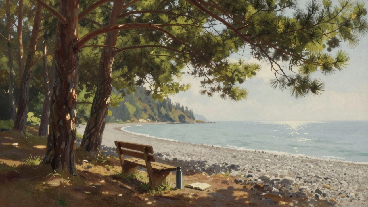 Сосновый лес у моря в Пицунде, на скамейке лежит книга и термос — атмосфера спокойствия и восстановления.