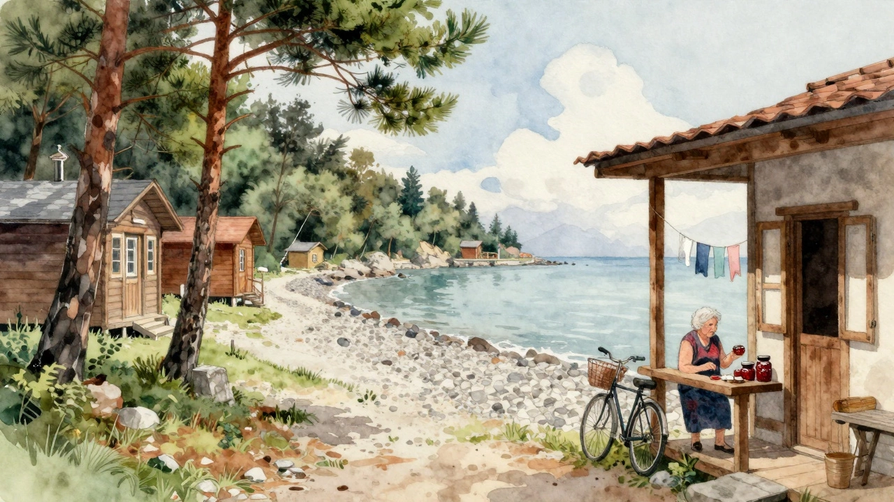 Уютная гостиница в Абхазии на берегу моря, с соснами и женщиной на крыльце.